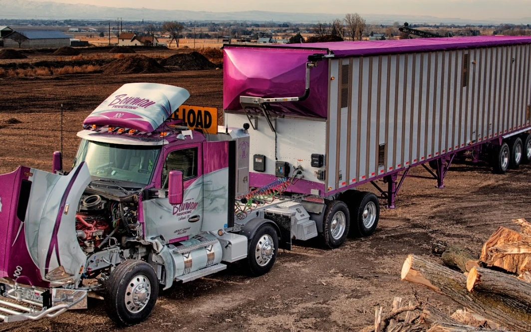 pink-metalic-truck-coverings